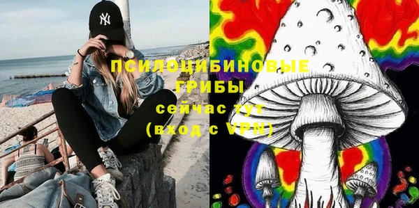 тгк Алексин