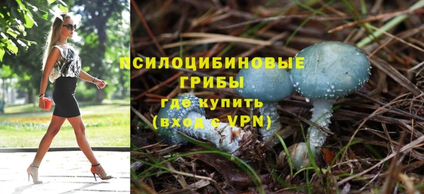 амф Алзамай