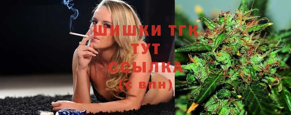 тгк Алексин