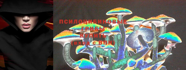 амф Алзамай