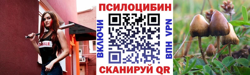 купить наркотики сайты  OMG зеркало  Псилоцибиновые грибы Magic Shrooms  Черепаново 